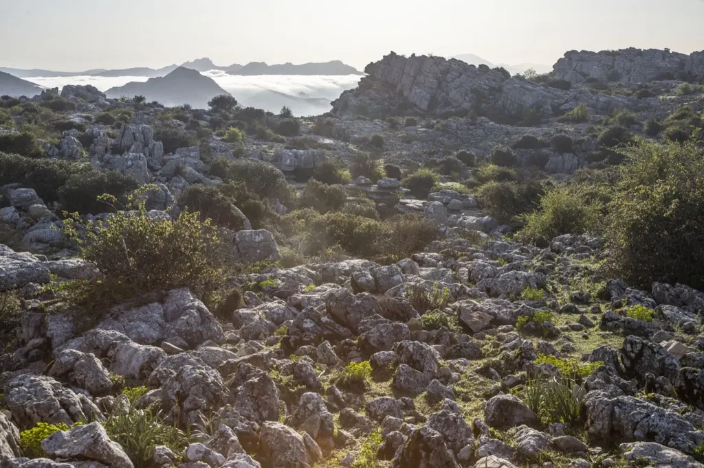 Antequera — documentary and travel photograph in Andalucía, Spain, frame 2 of 21.