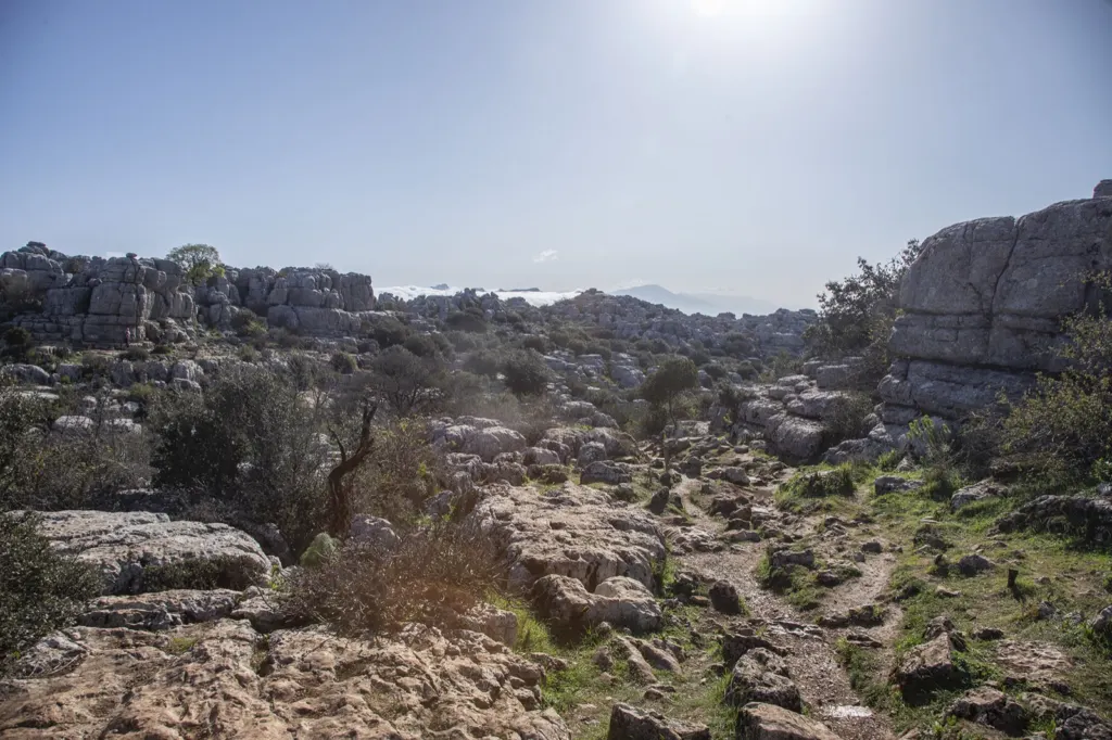 Antequera — documentary and travel photograph in Andalucía, Spain, frame 9 of 21.