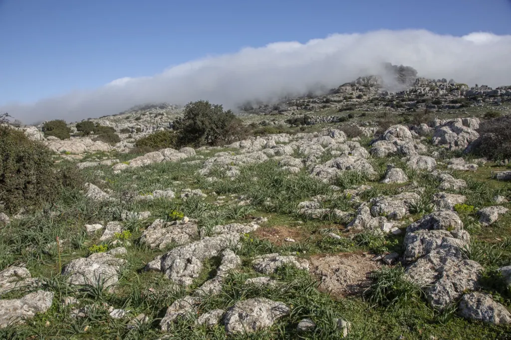 Antequera — documentary and travel photograph in Andalucía, Spain, frame 10 of 21.