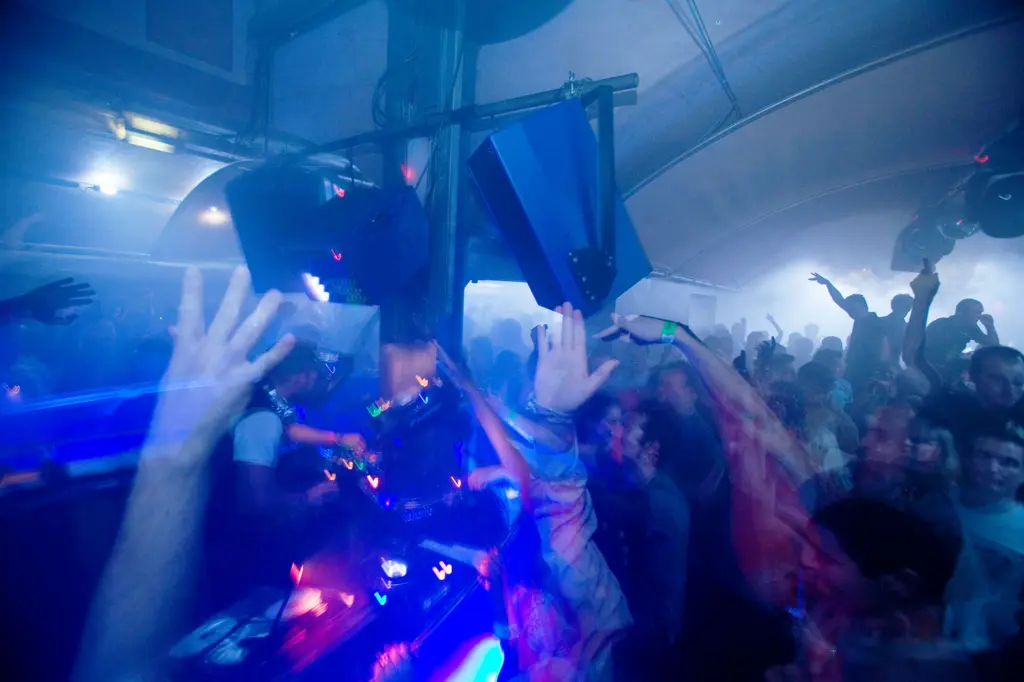 Buzzin’ Fly at The End, 2007 · frame 021