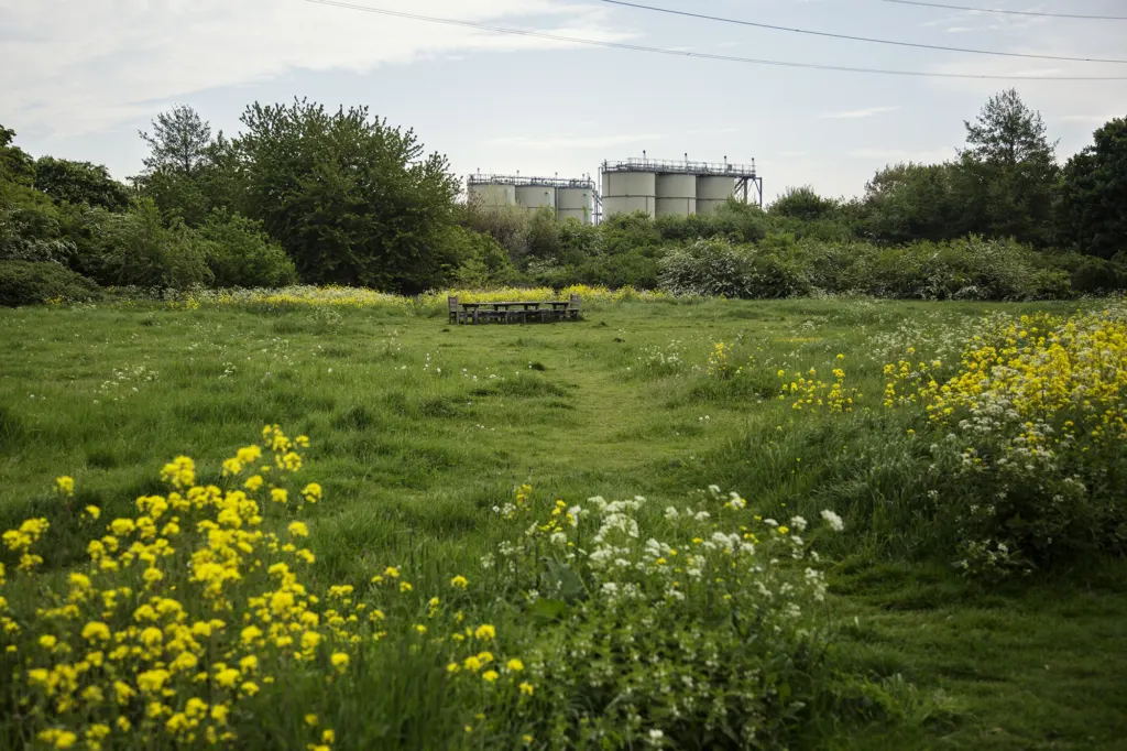 Clapton — documentary and landscape photograph in East London, UK, frame 7 of 18.