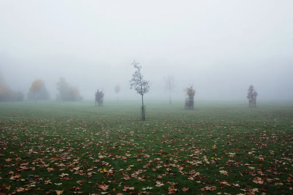 Clapton — documentary and landscape photograph in East London, UK, frame 15 of 18.