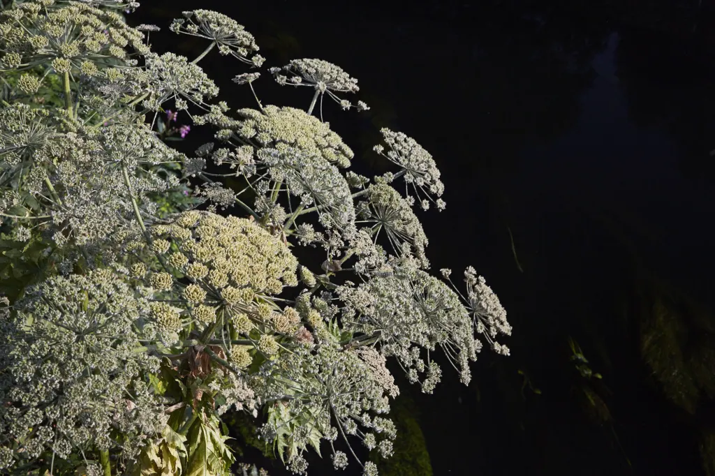 Clapton — documentary and landscape photograph in East London, UK, frame 10 of 18.