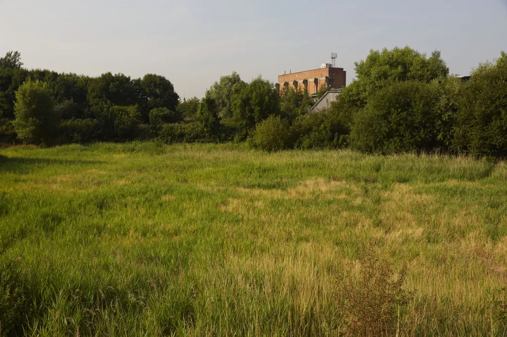 Clapton — documentary and landscape photograph in East London, UK, frame 12 of 18.