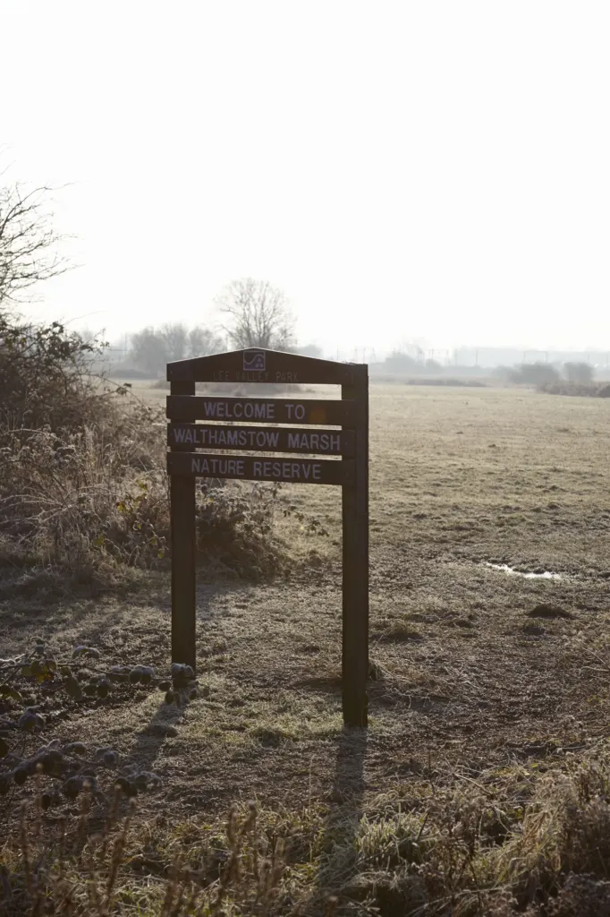 Clapton — documentary and landscape photograph in East London, UK, frame 17 of 18.