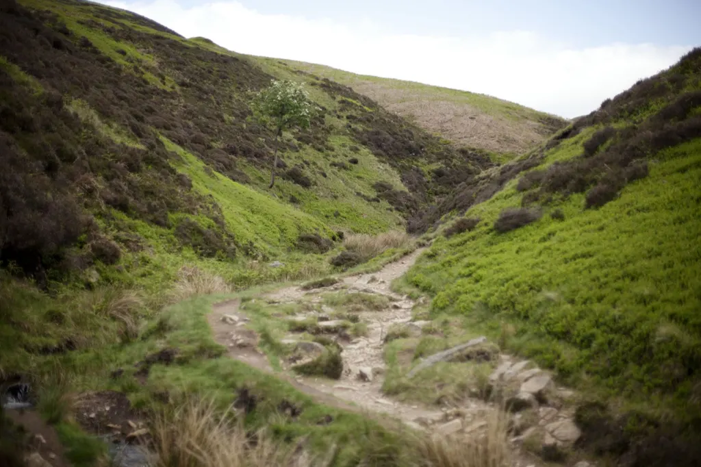 The Peak District — documentary and travel photograph in Derbyshire, UK, frame 2 of 25.