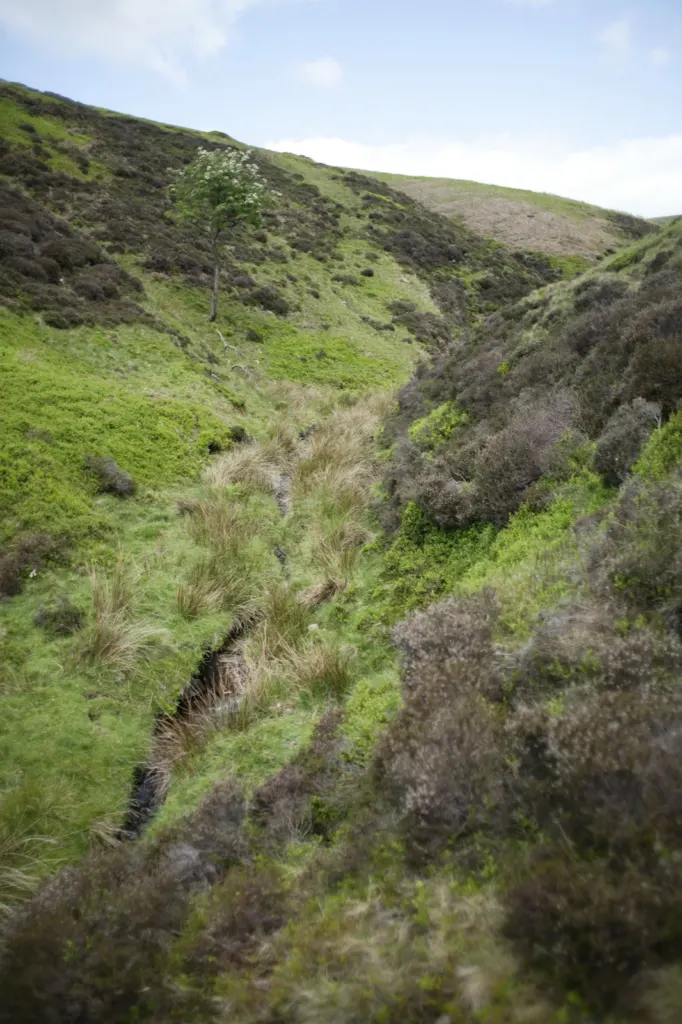 The Peak District — documentary and travel photograph in Derbyshire, UK, frame 3 of 25.