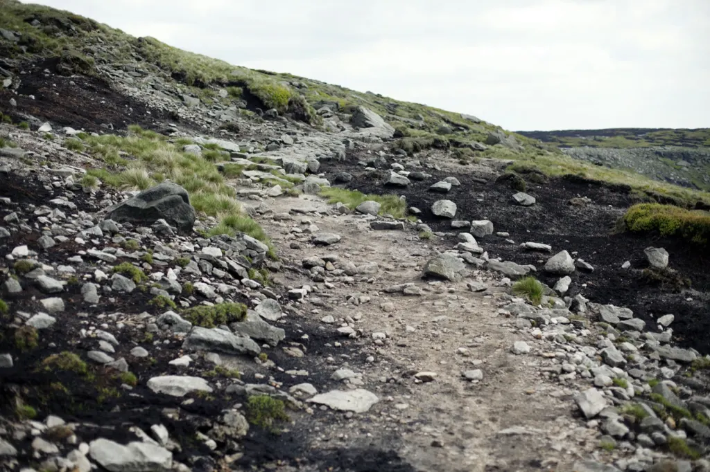 The Peak District — documentary and travel photograph in Derbyshire, UK, frame 8 of 25.