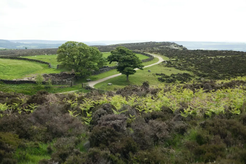 The Peak District — documentary and travel photograph in Derbyshire, UK, frame 11 of 25.