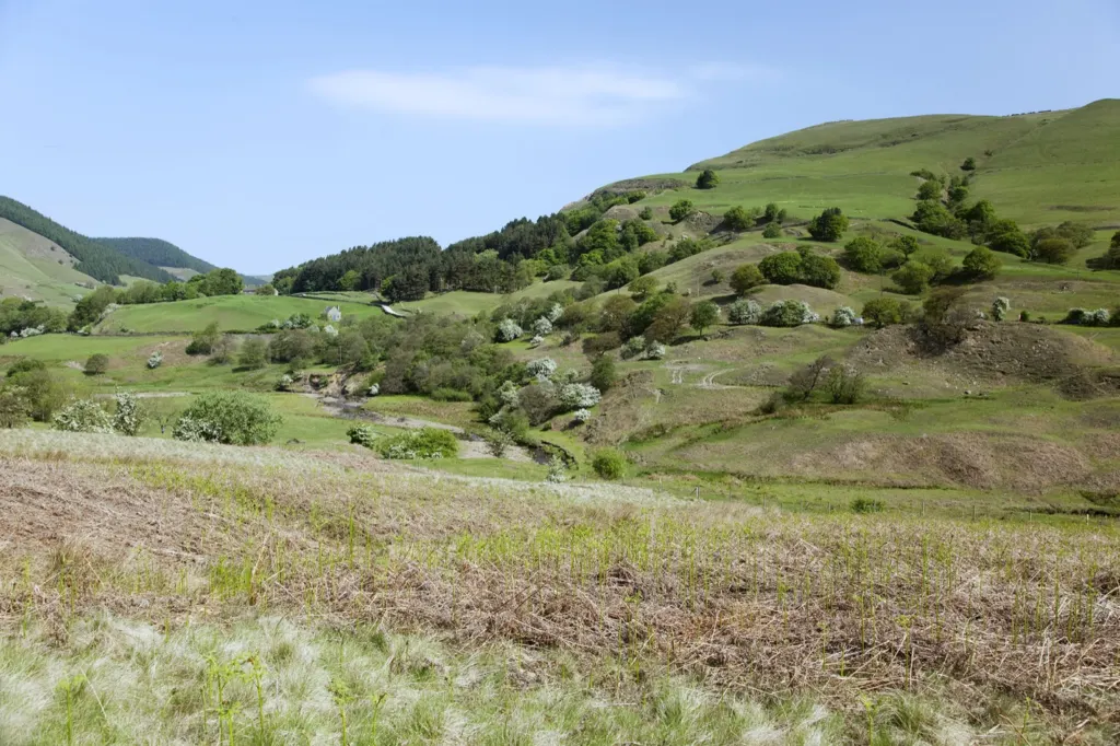 The Peak District — documentary and travel photograph in Derbyshire, UK, frame 14 of 25.