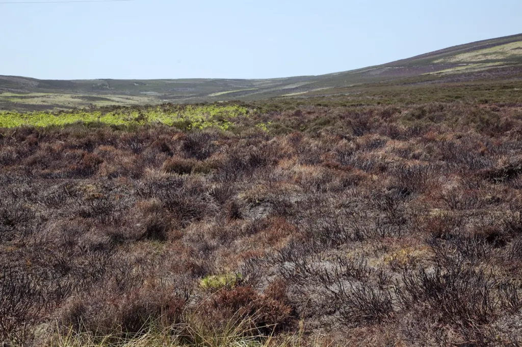 The Peak District — documentary and travel photograph in Derbyshire, UK, frame 15 of 25.