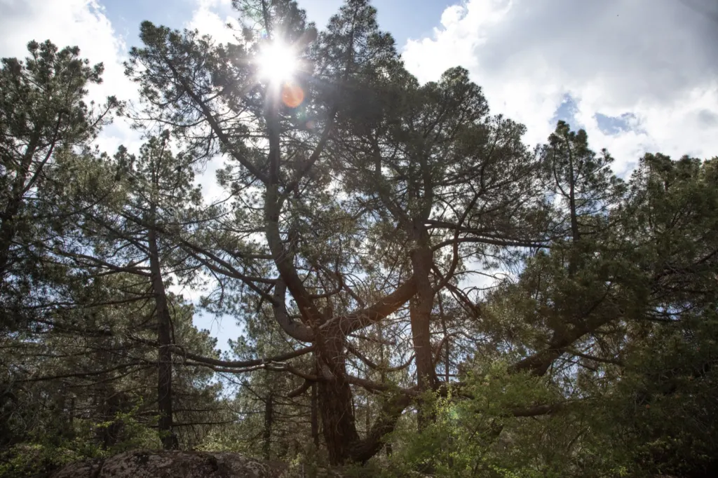 Viaje en España — documentary and travel photograph in Spain, frame 10 of 84.