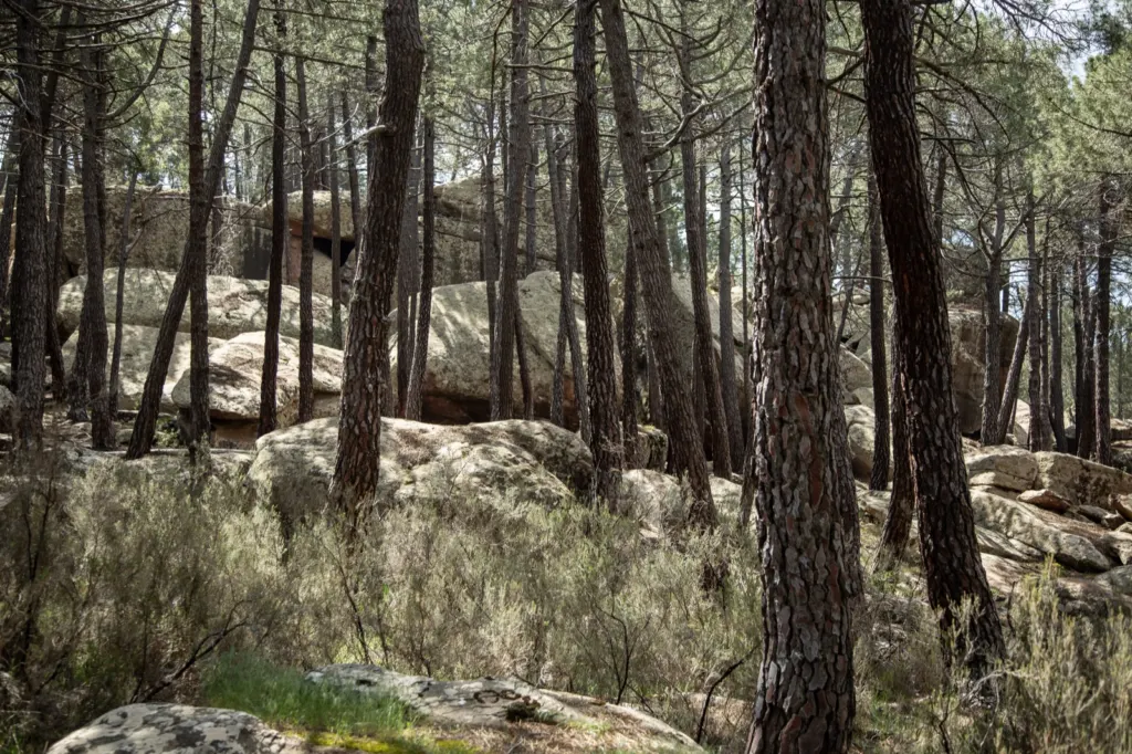 Viaje en España — documentary and travel photograph in Spain, frame 12 of 84.