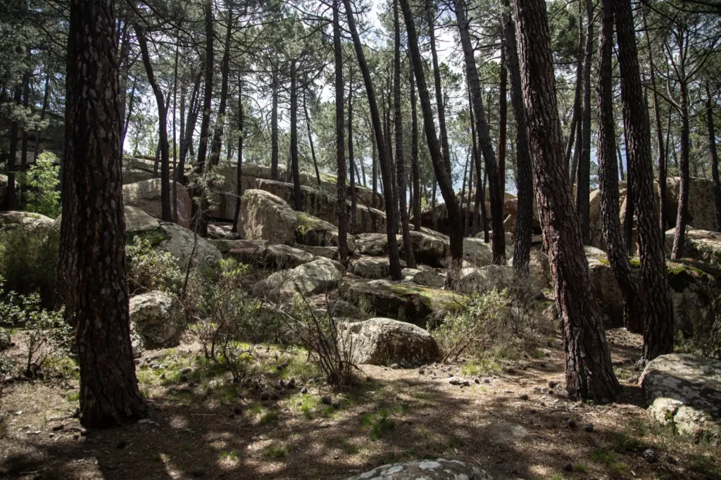 Viaje en España — documentary and travel photograph in Spain, frame 13 of 84.