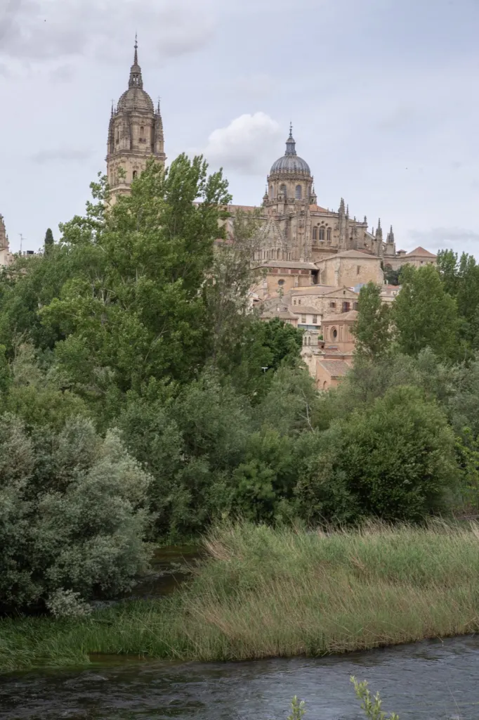 Viaje en España — documentary and travel photograph in Spain, frame 66 of 84.