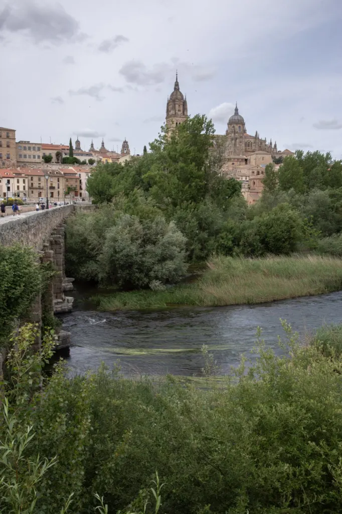 Viaje en España — documentary and travel photograph in Spain, frame 68 of 84.