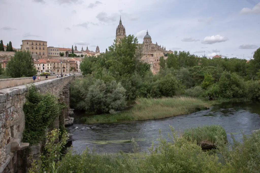 Viaje en España — documentary and travel photograph in Spain, frame 69 of 84.