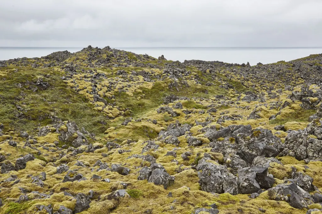 Iceland — documentary and travel photograph in Iceland, frame 38 of 68.