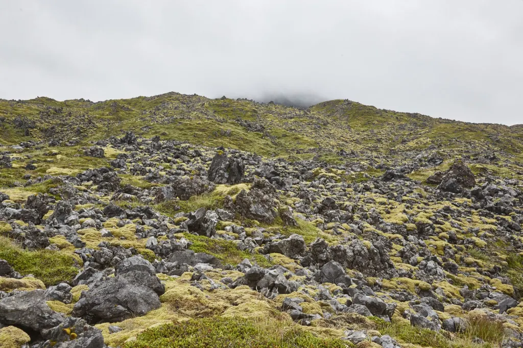 Iceland — documentary and travel photograph in Iceland, frame 40 of 68.